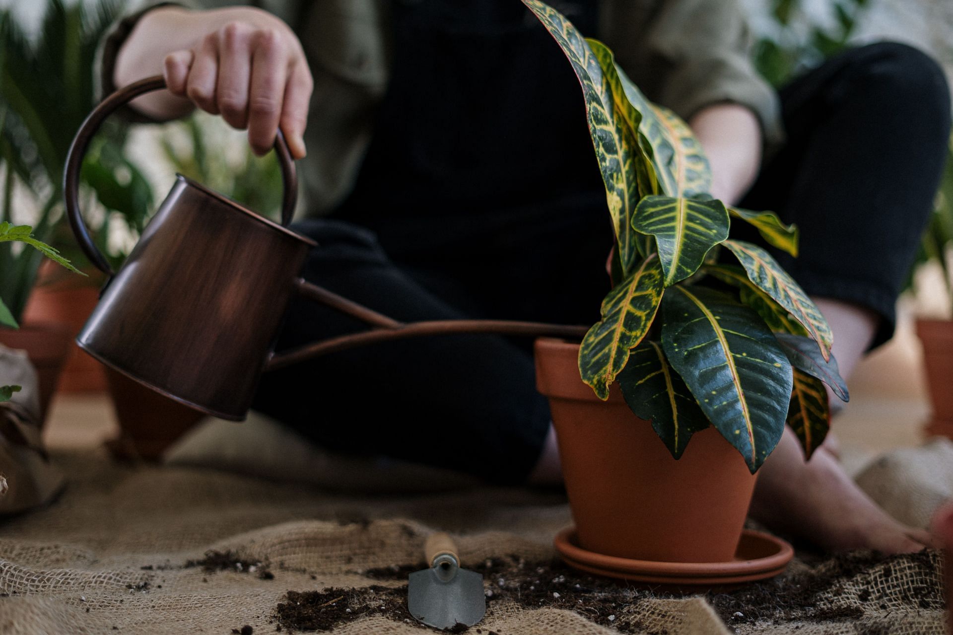 Good for mental health. (Image via Pexels/ Cottonbro Studio)